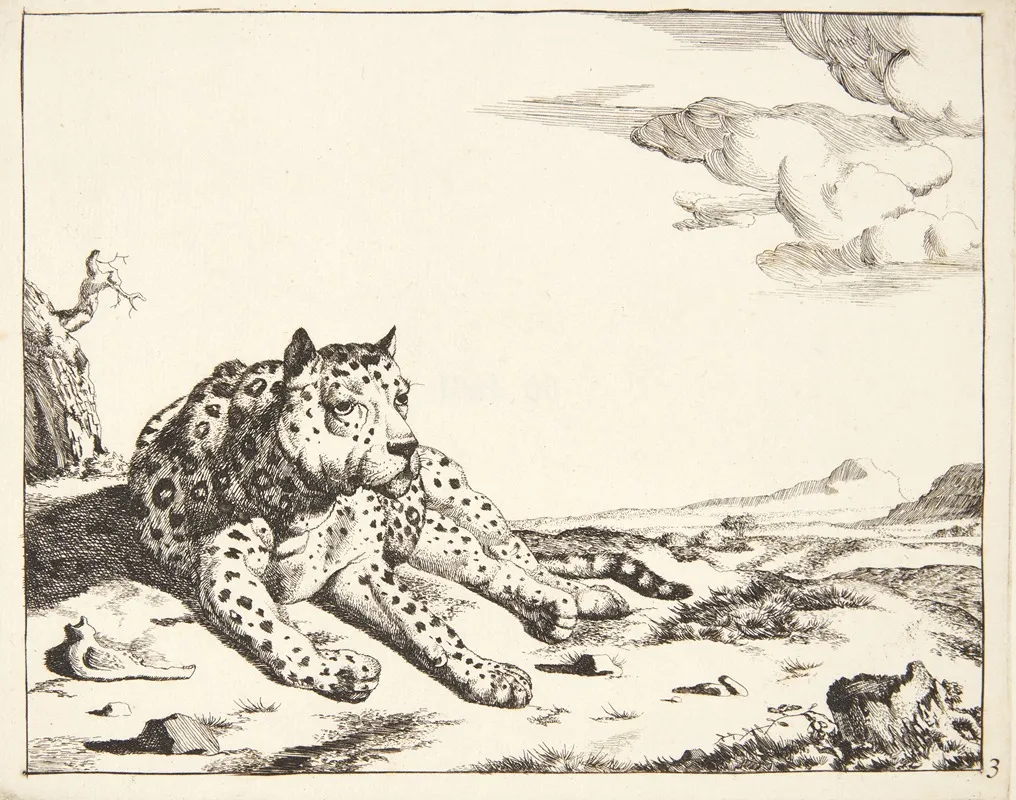 Liggende Leopard Set Forfra Wall Art by Marcus de Bye - High-Resolution Digital Print