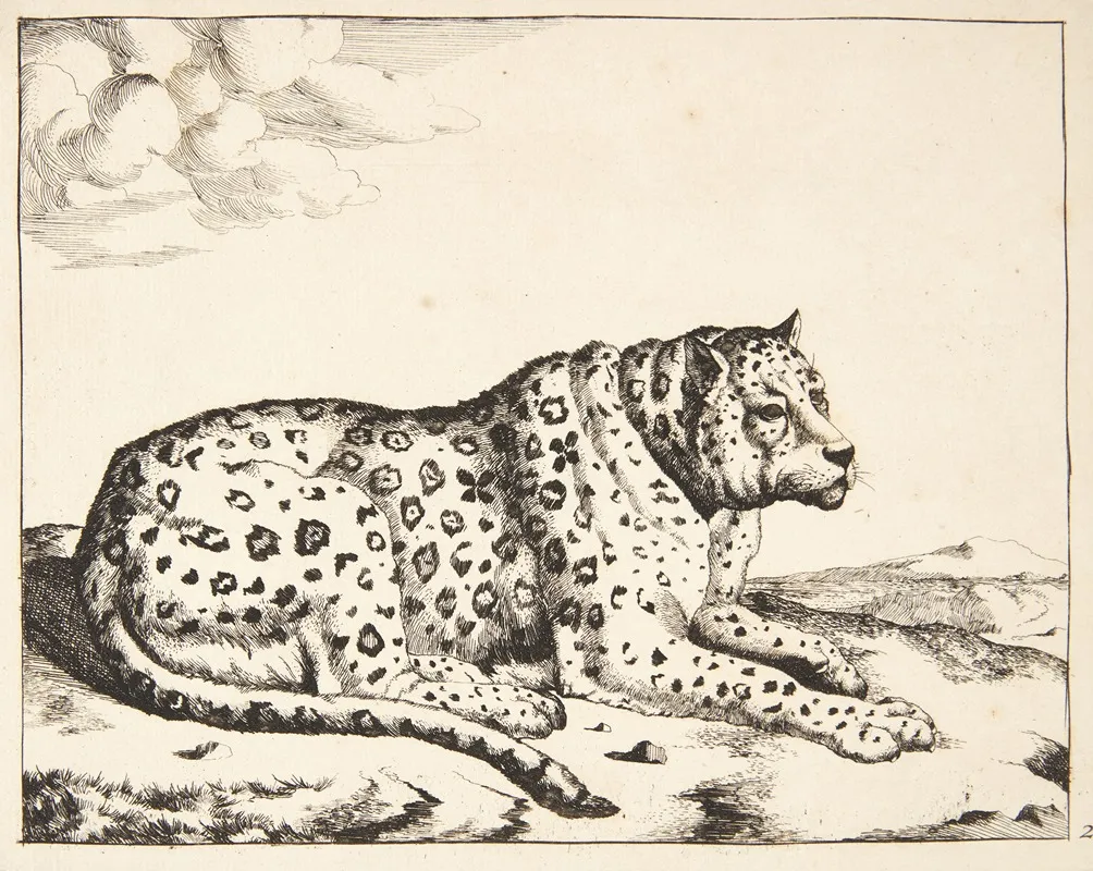 Liggende Leopard Vendt Mod Hojre Wall Art by Marcus de Bye - High-Resolution Digital Print