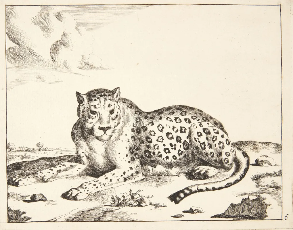 Liggende Leopard Vendt Mod Venstre Wall Art by Marcus de Bye - High-Resolution Digital Print
