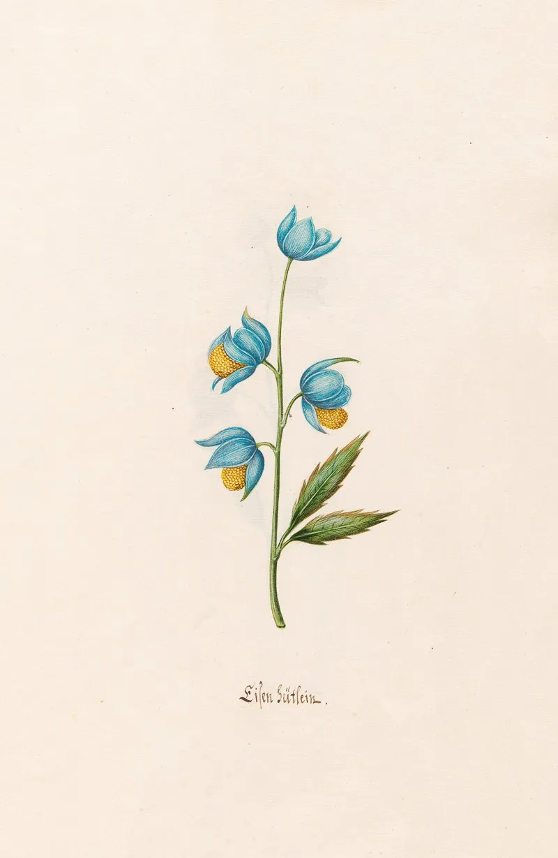 Lilen Gutlein 2 Wall Art by Magdelena Rosina Funck - High-Resolution Digital Print