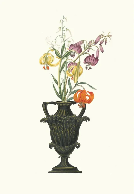 Lilium Pomponium Lilium Chalcedonicum Wall Art by Priscilla Susan Bury - High-Resolution Digital Print