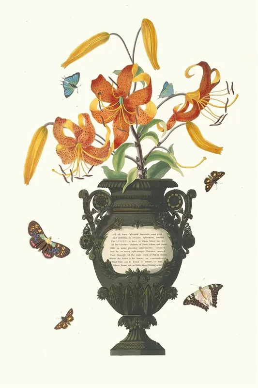 Lilium Tigrinum 2 Wall Art by Priscilla Susan Bury - High-Resolution Digital Print