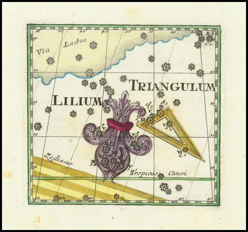 Lilium Triangulum Wall Art by Corbinian Thomas - High-Resolution Digital Print