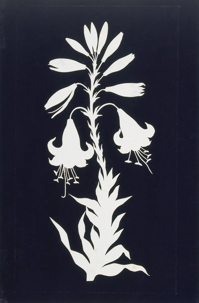 Lilly