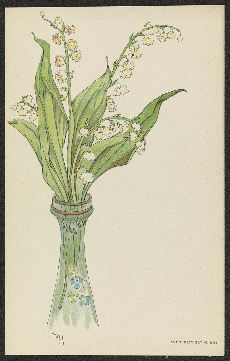 Lily Of The Valley 4