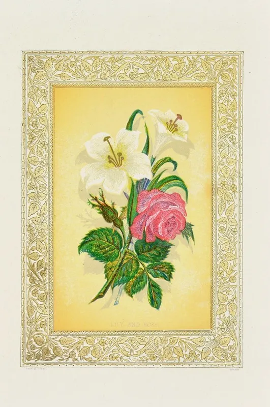 Lily Rose Wall Art by John Henry Ingram - High-Resolution Digital Print