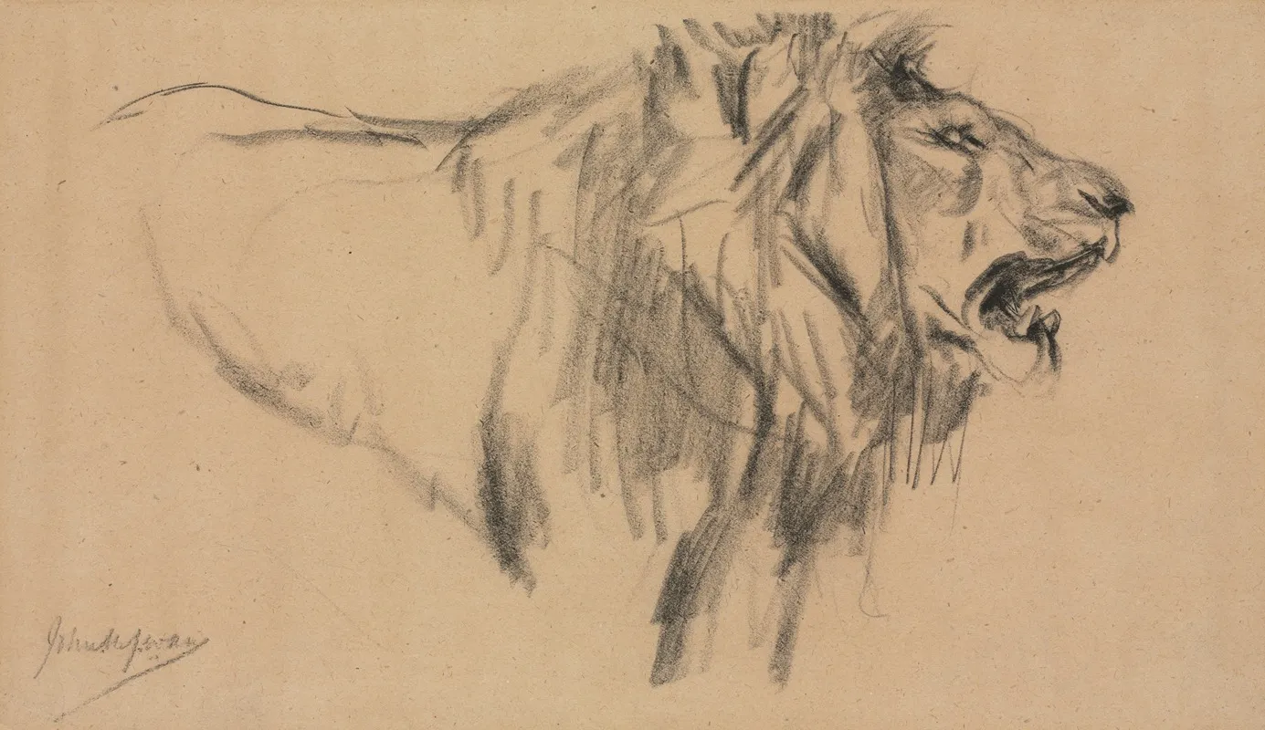 Lion 2