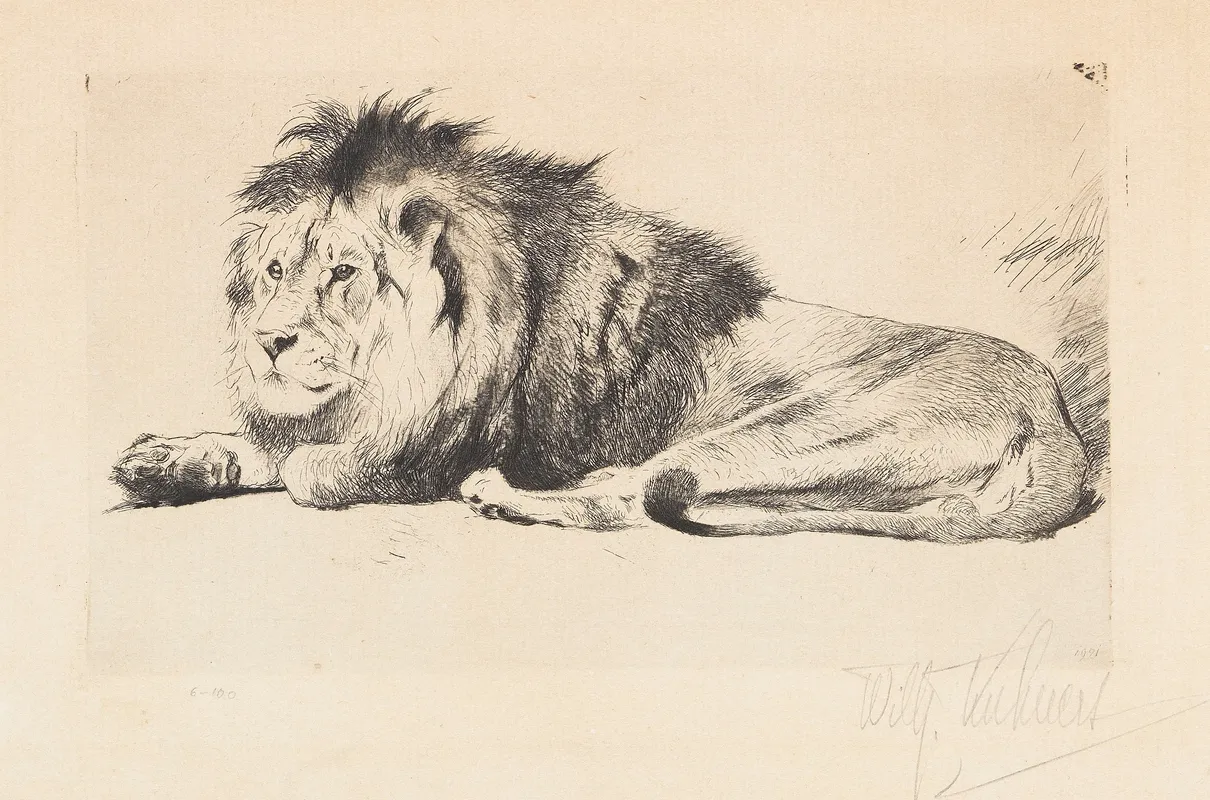 Lion 8 Wall Art by Wilhelm Kuhnert - High-Resolution Digital Print