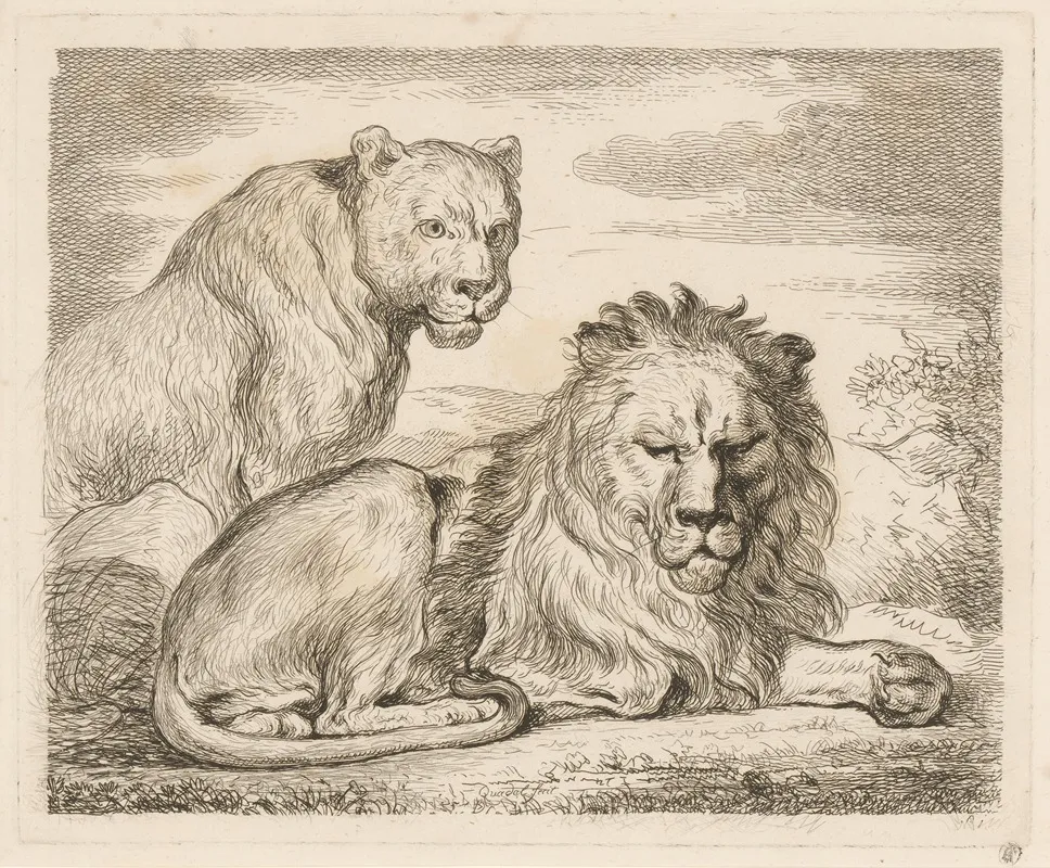 Lion And Lioness 2 Wall Art by Martin Ferdinand Quadal - High-Resolution Digital Print