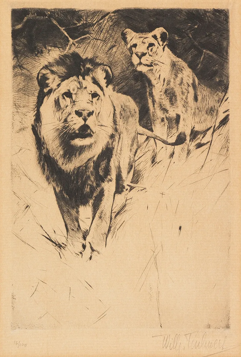 Lion And Lioness 3