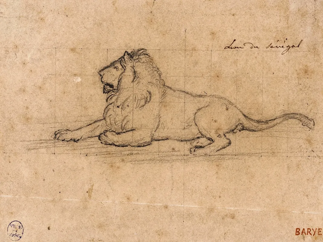 Lion Du Senegal