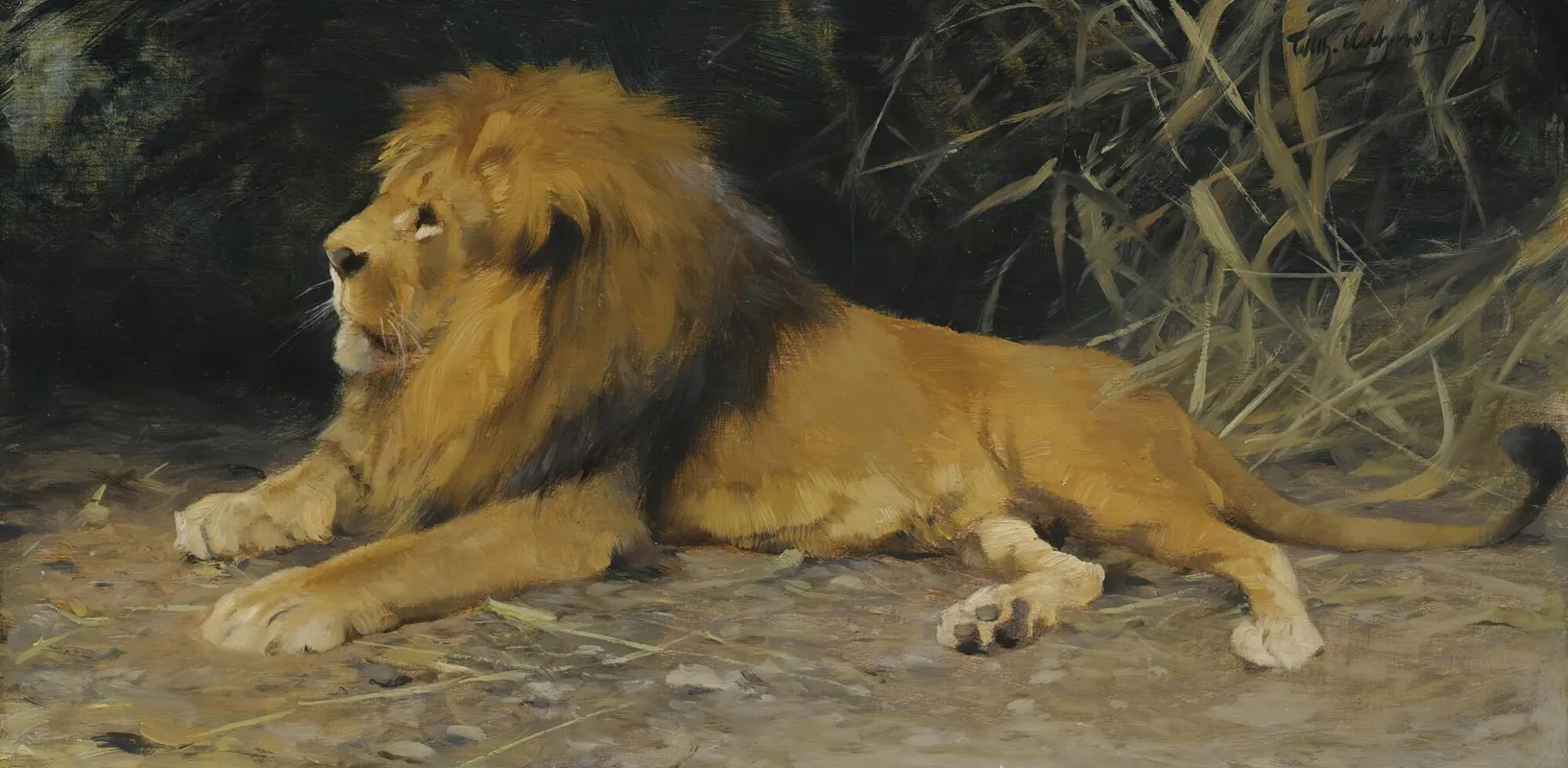 Lion In His Den Wall Art by Wilhelm Kuhnert - High-Resolution Digital Print
