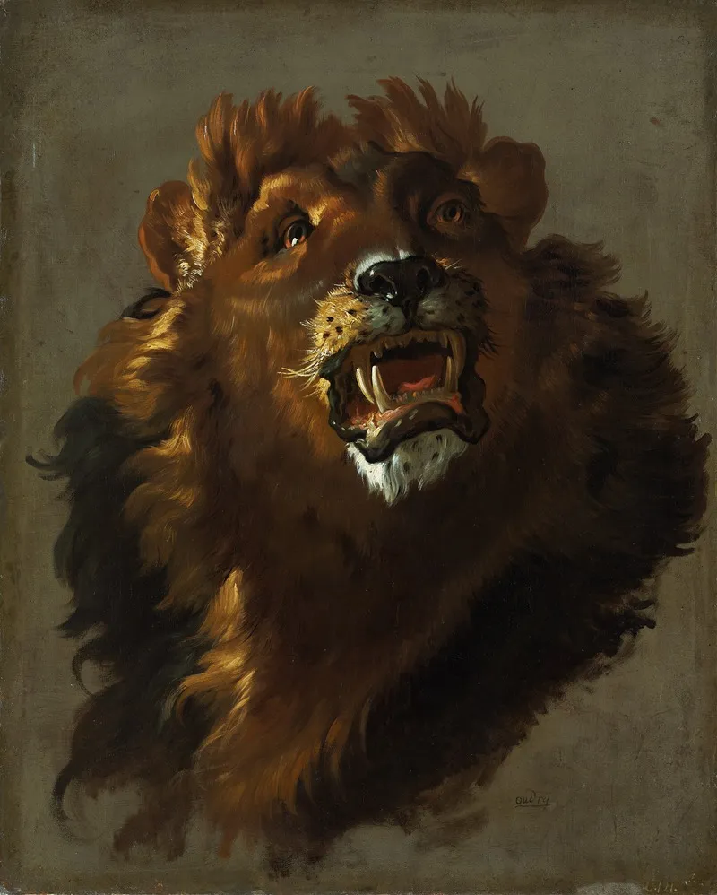 Lion Wall Art by Giuseppe Baldrighi - High-Resolution Digital Print