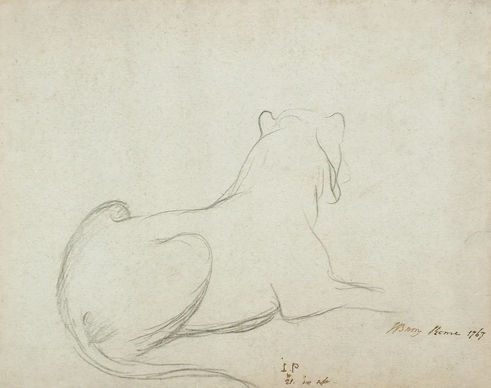 Lioness 2