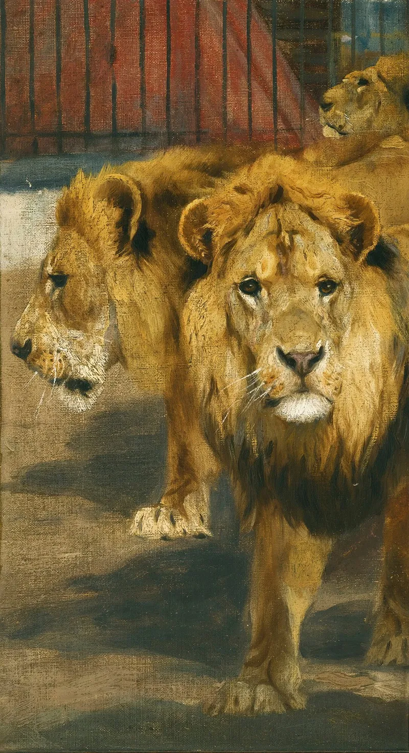 Lions 2