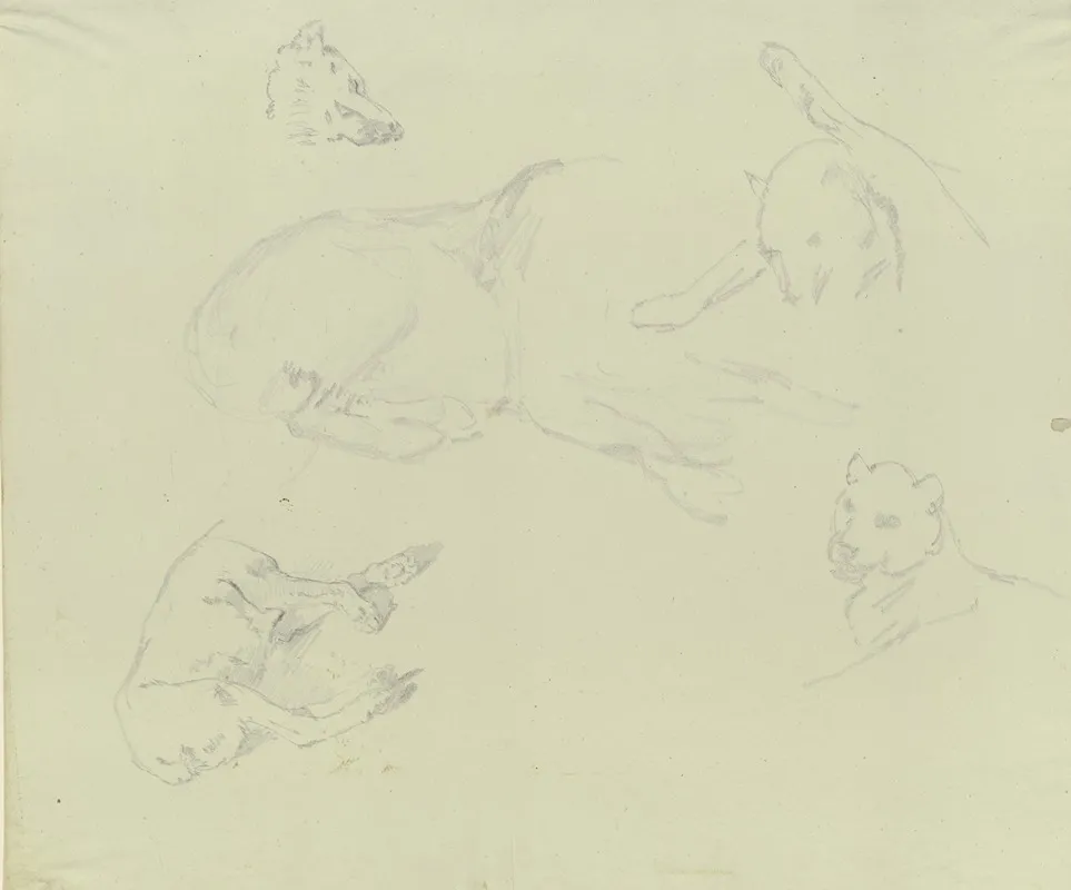 Lions And Wolves