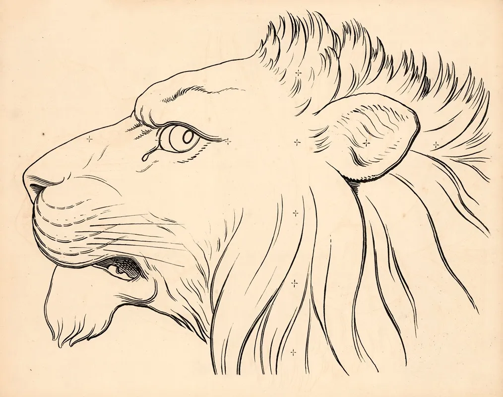 Lions Head 5 Wall Art by Carl Ludvig Petersen - High-Resolution Digital Print