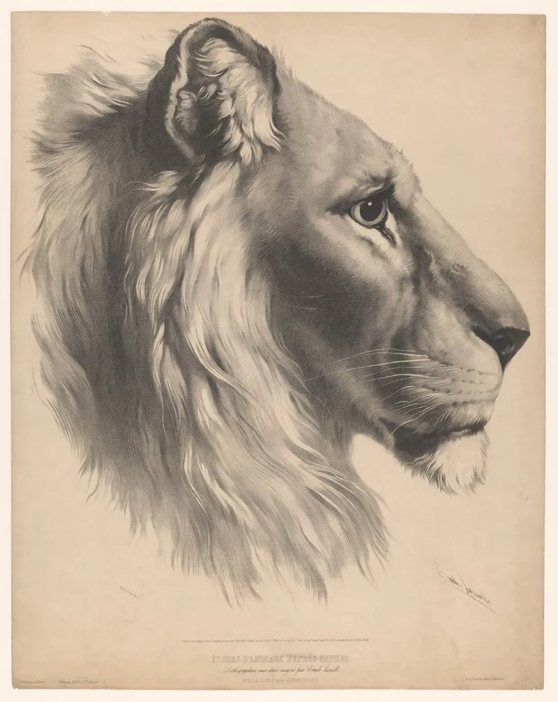 Lions Head In Profile Wall Art by Emile Lassalle - High-Resolution Digital Print