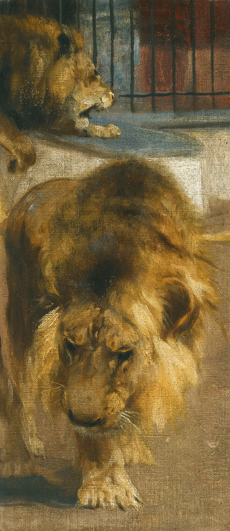 Lions Wall Art by Wilhelm Kuhnert - High-Resolution Digital Print