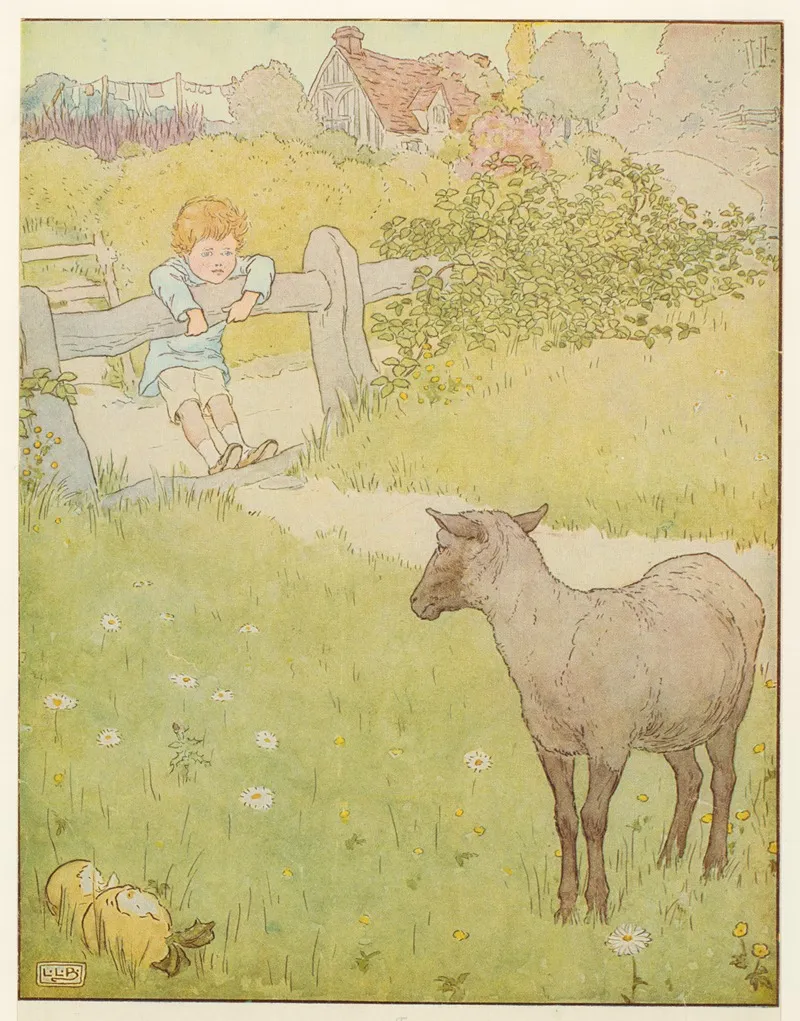Little Boy And Black Sheep