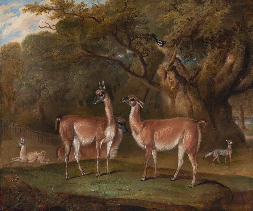 Llamas And A Fox In A Wooded Landscape Wall Art by Thomas Weaver - High-Resolution Digital Print