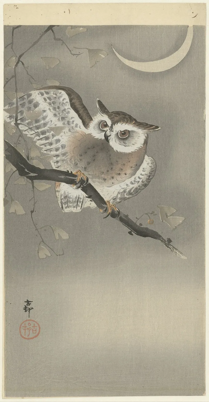 Long Eared Owl In Ginkgo