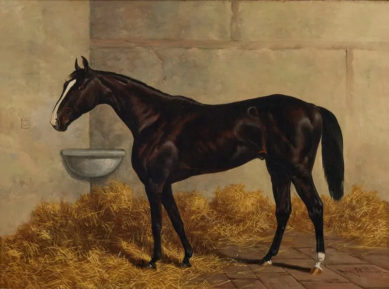 Longfellow A Dark Bay Racehorse In A Stable