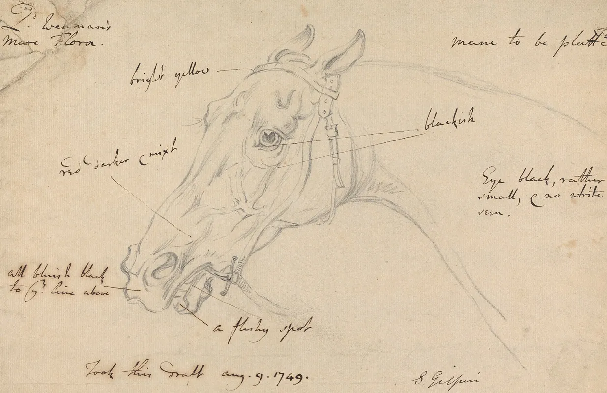 Lord Wennans Mare Flora