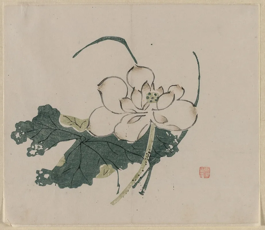 Lotus Blossom