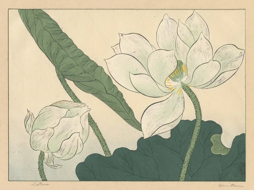 Lotus Wall Art by Sakai Hōitsu - High-Resolution Digital Print