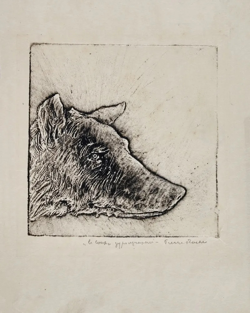 Loup 2