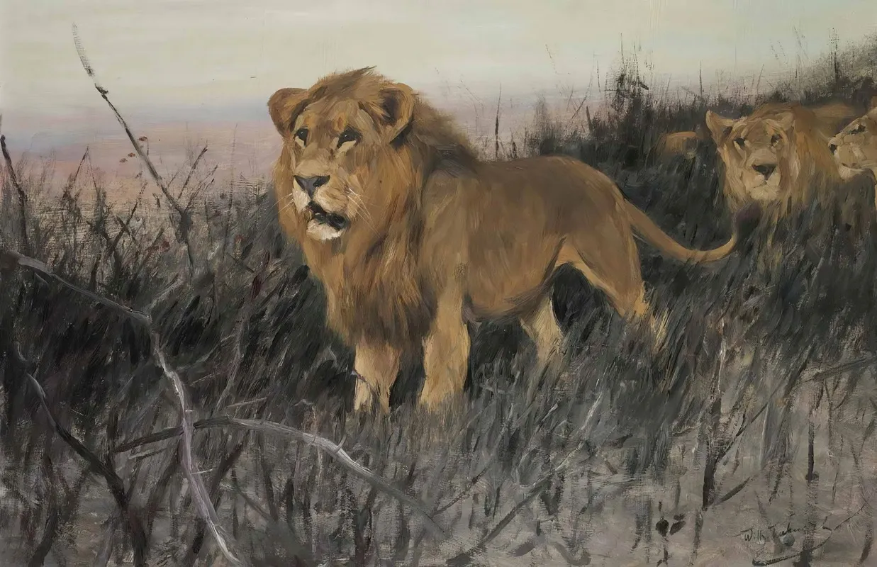 Lowen In Verbrannter Steppe Lions In A Burnt Steppe
