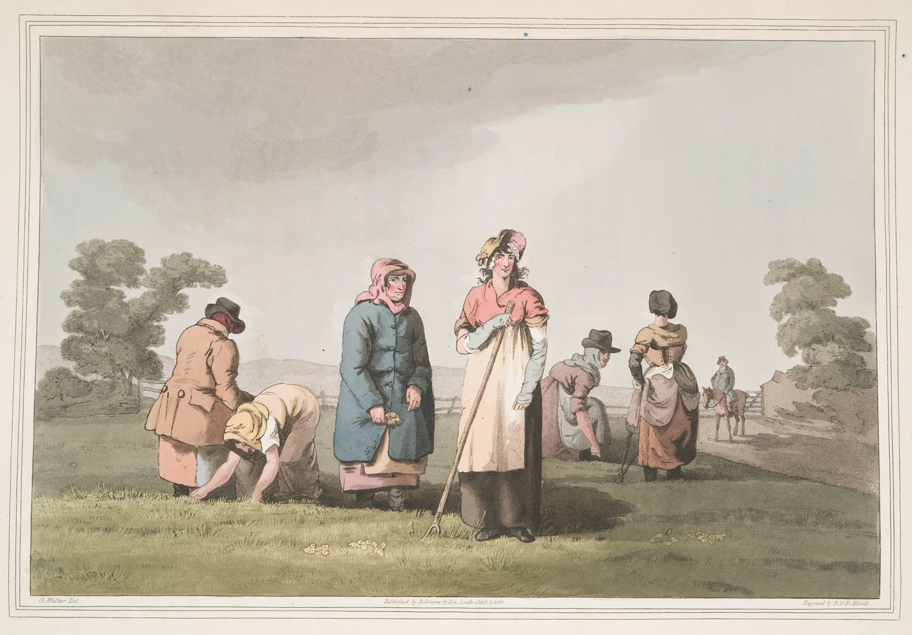 Lowkers Plate 8 Wall Art by George Walker - High-Resolution Digital Print