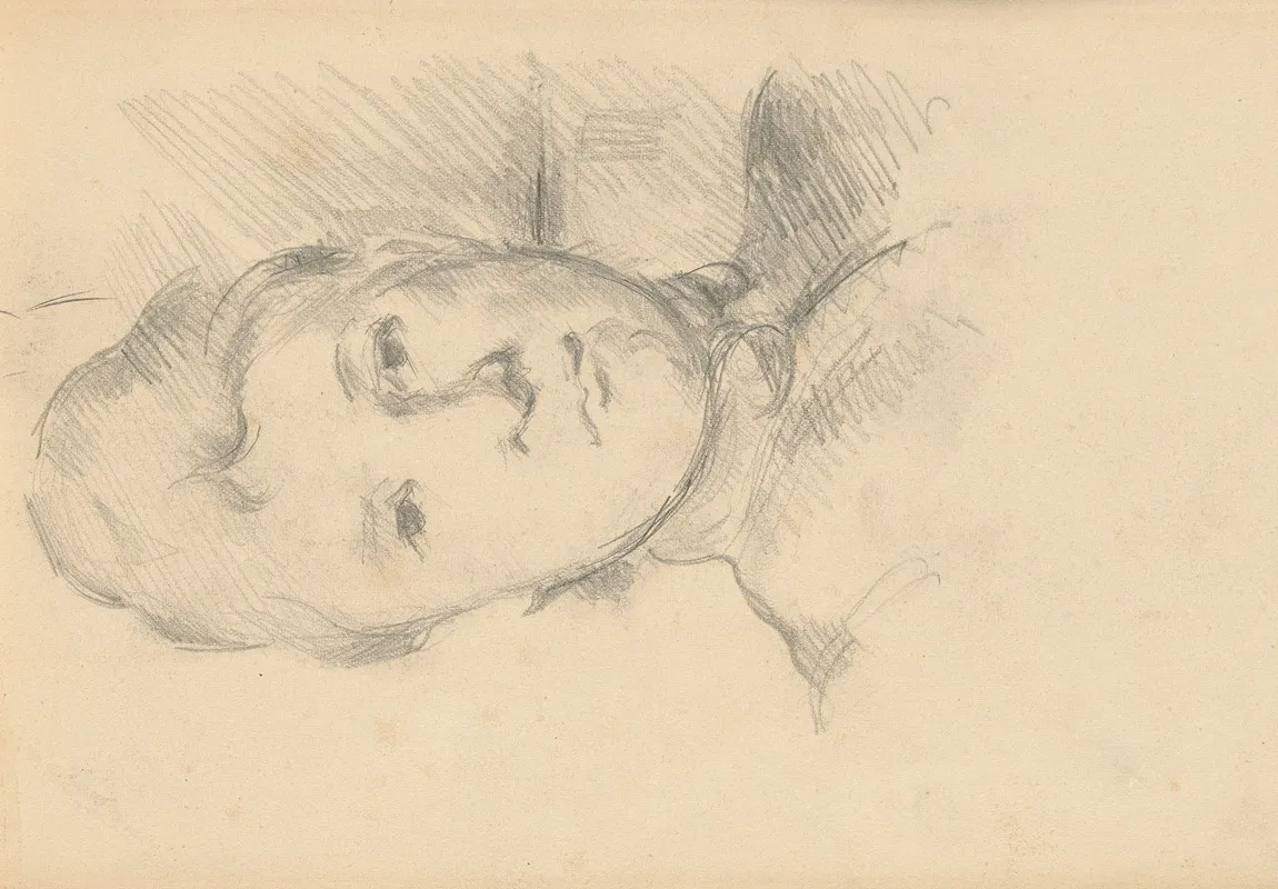 Madame Cezanne 3