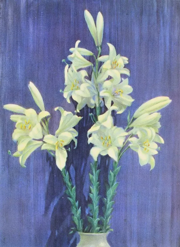 Madonna Lily Wall Art by Lafayette F. Cargill - High-Resolution Digital Print