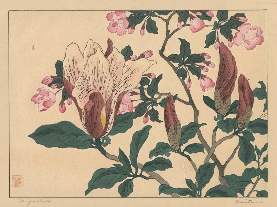 Magnolia 4 Wall Art by Sakai Hōitsu - High-Resolution Digital Print
