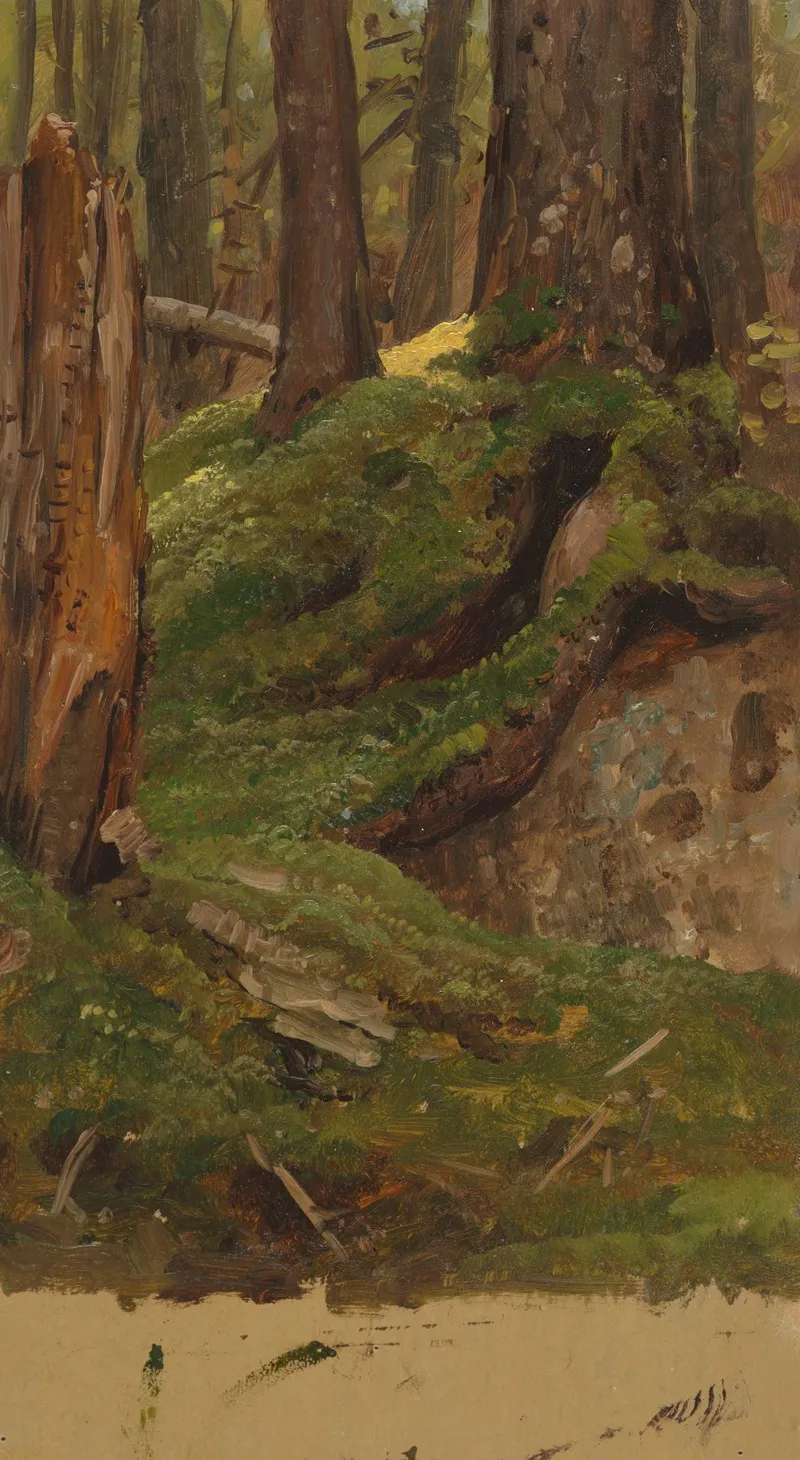 Maine Woods 2