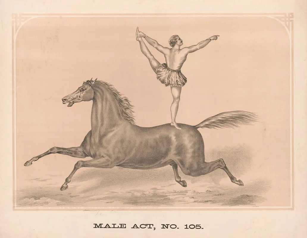 Male Act No 105
