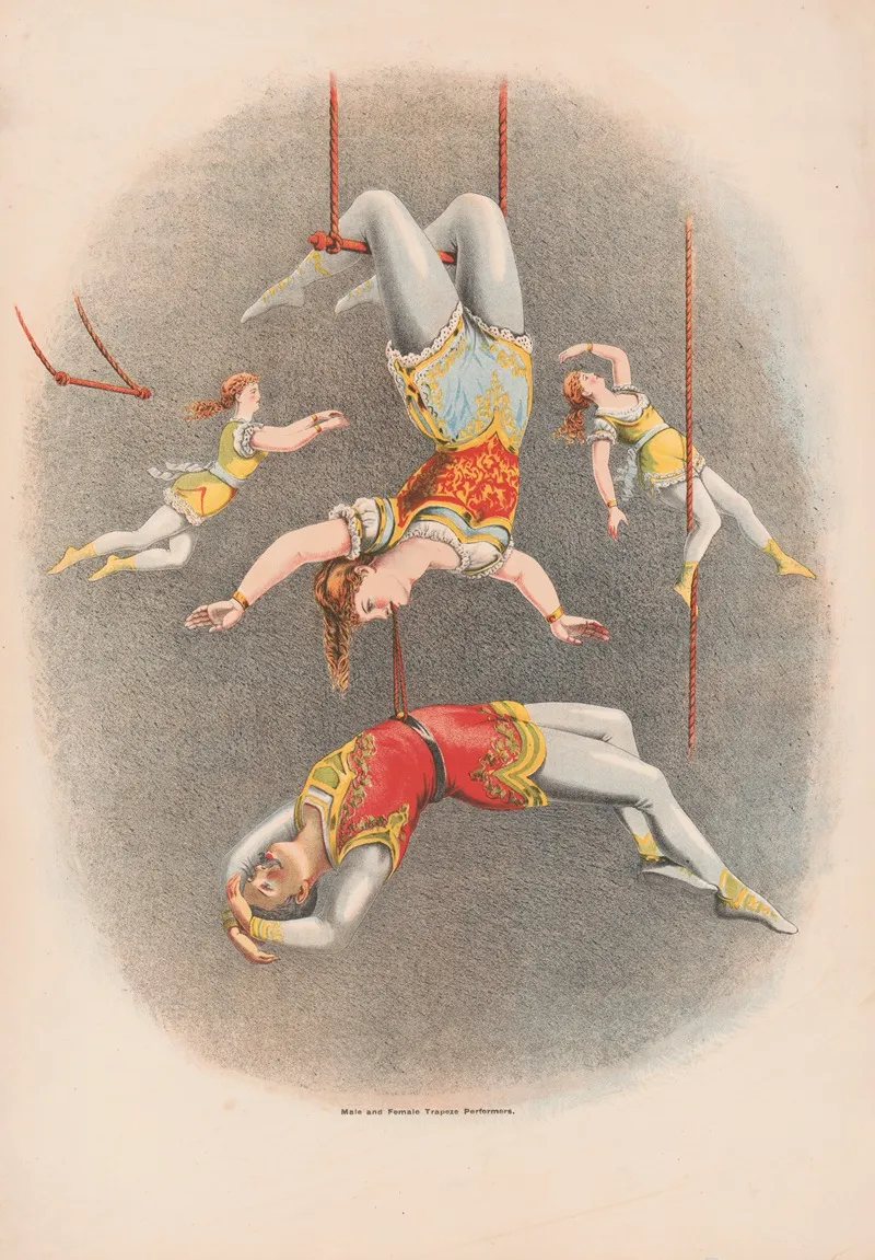 Male And Female Trapeze Performers Wall Art by Courier Litho. Co. - High-Resolution Digital Print