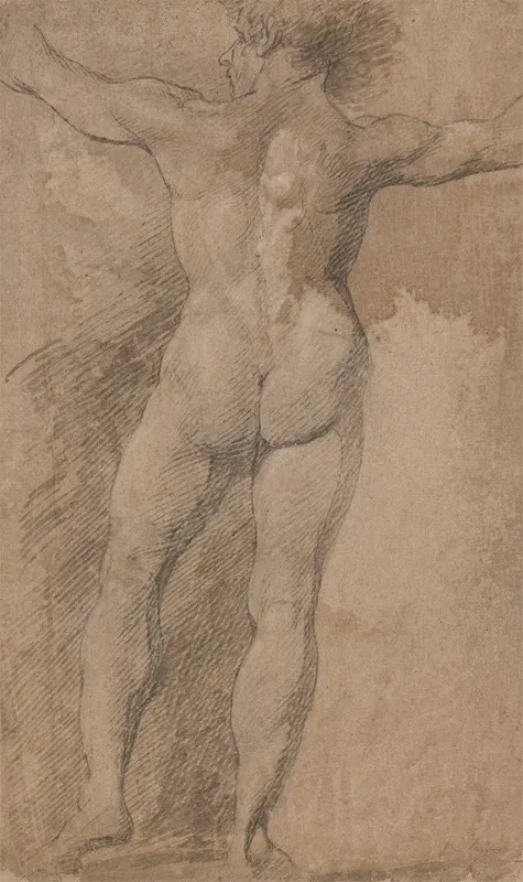 Male With Arms Spread Wide Seen From Behind