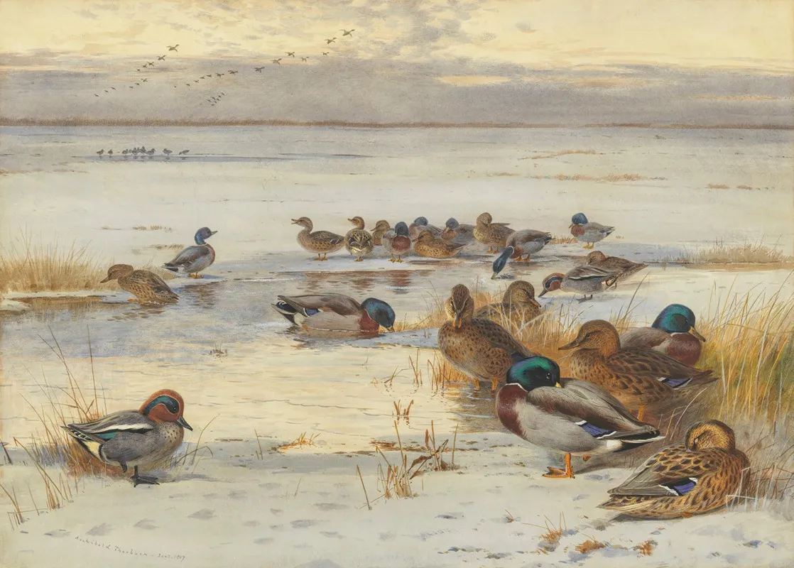 Mallard And Teal On A Snowy Marsh