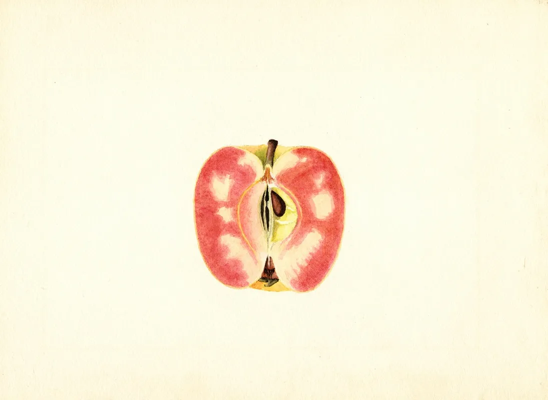 Malus Domestica Surprise 2 Wall Art by James Marion Shull - High-Resolution Digital Print