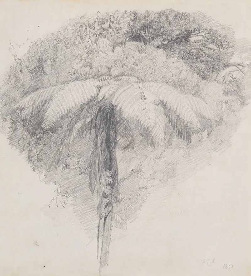 Mamaku Taranaki