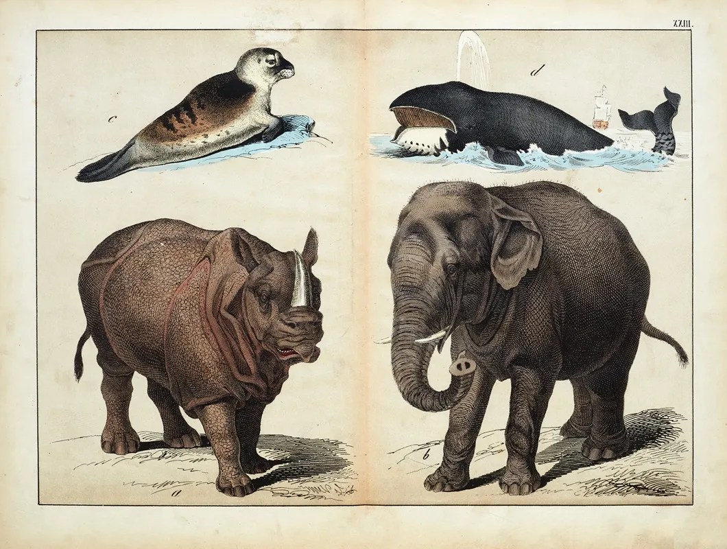 Mammals 6 Wall Art by D. Englert - High-Resolution Digital Print