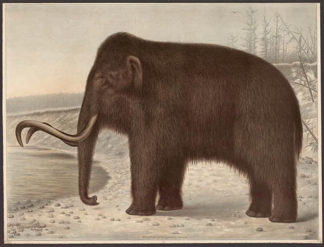 Mammoth Wall Art by E. Pfizenmayer - High-Resolution Digital Print
