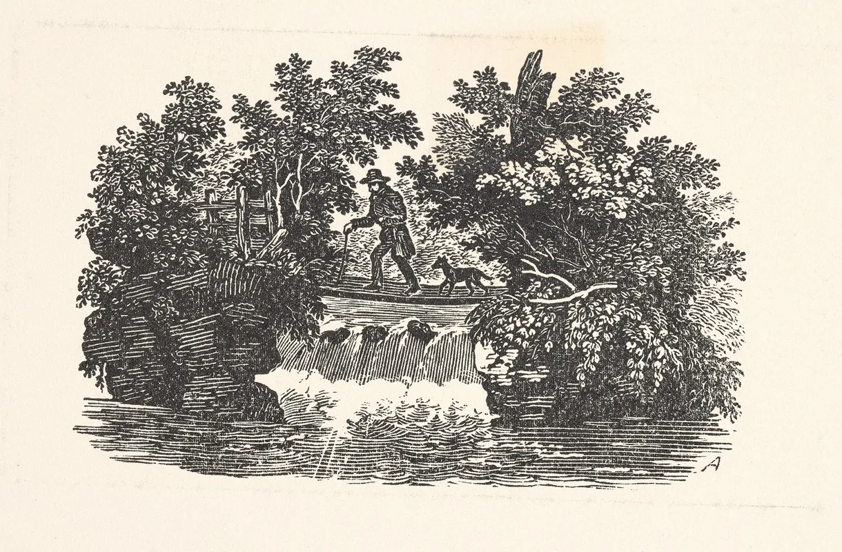 Man And Dog Near Waterfall