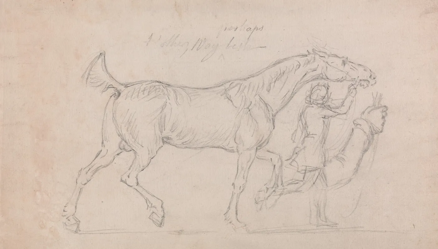 Man Leading A Trotting Stallion To Right