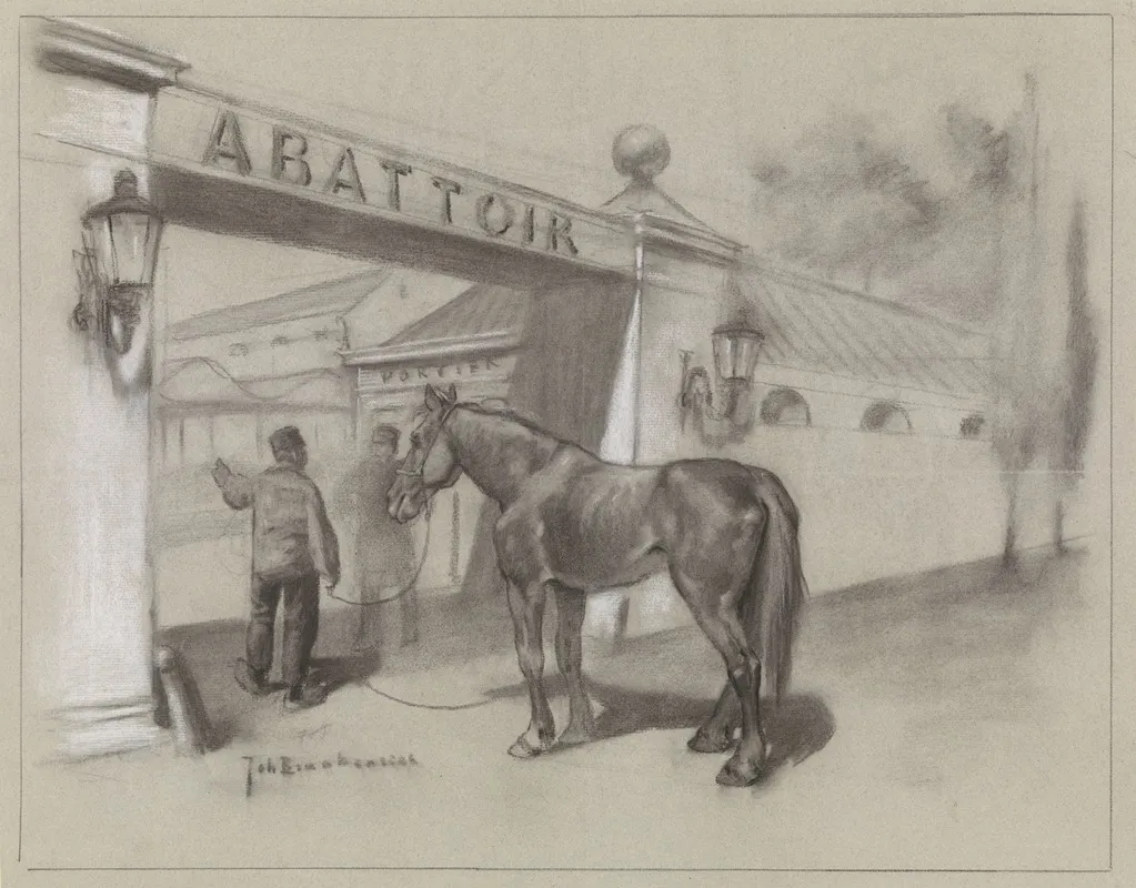 Man Met Paard Voor De Ingang Van Het Abattoir