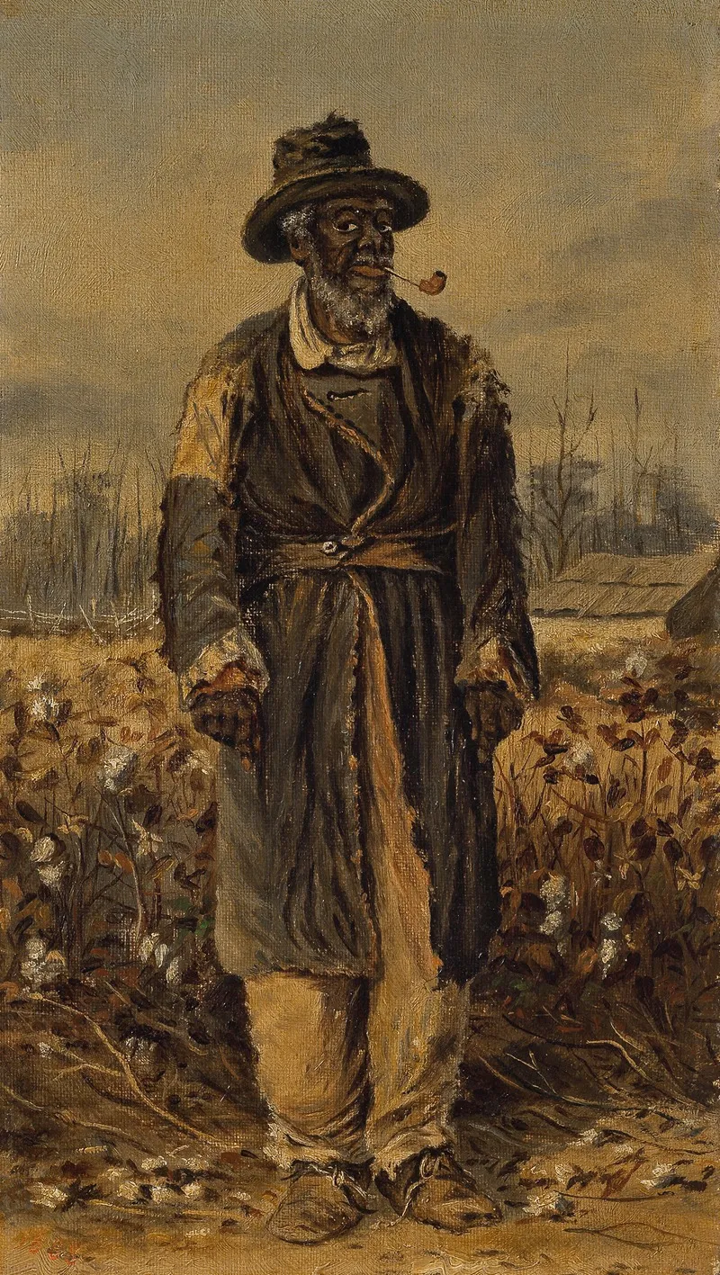Man Smoking Pipe In Cotton Field