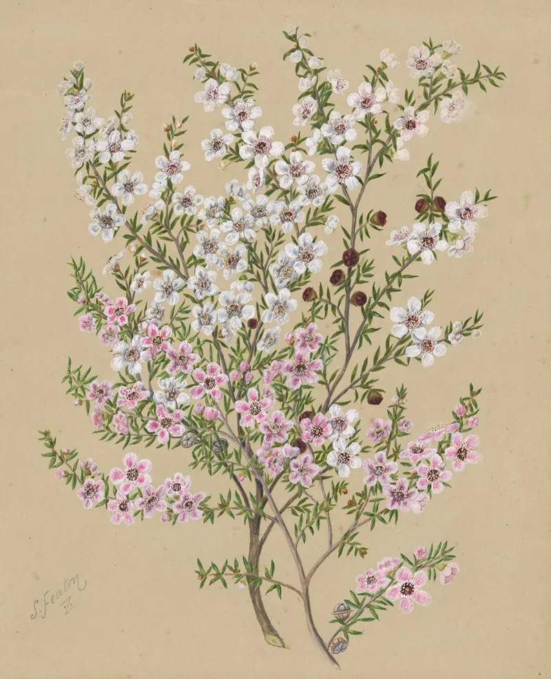 Manuka Wall Art by Sarah Featon - High-Resolution Digital Print